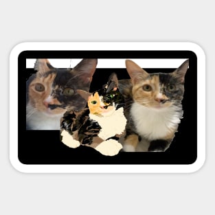 Micaela Cat 2 Sticker